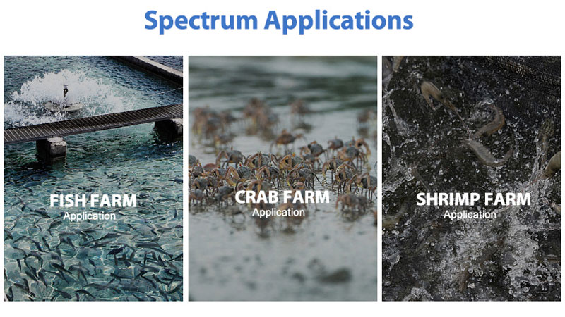 Roxycide for Aquaculture Disinfection