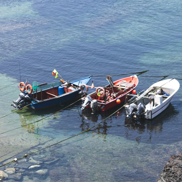 Aquaculture Disinfection