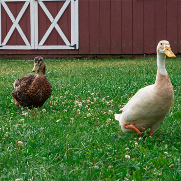 Terminal Biosecurity