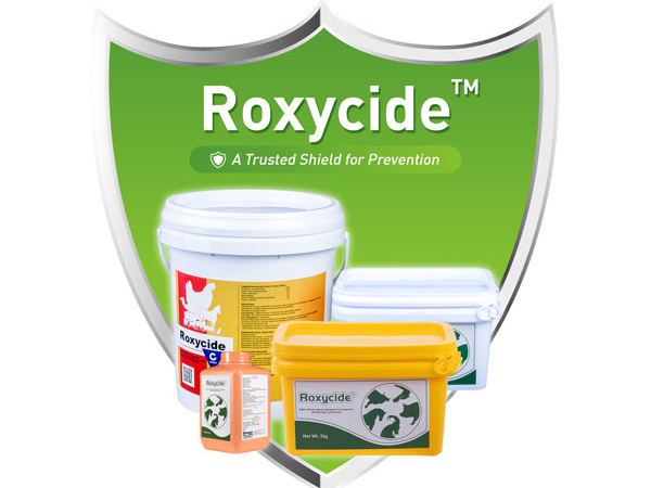 Roxycide Livestock Poultry Pet Vet Disinfection