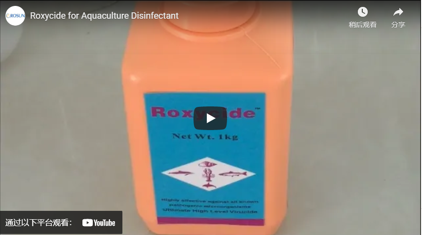 Roxycide For Aquaculture Disinfectant