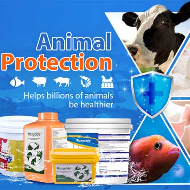 Animal Disinfection Industry With Disinfection Products
