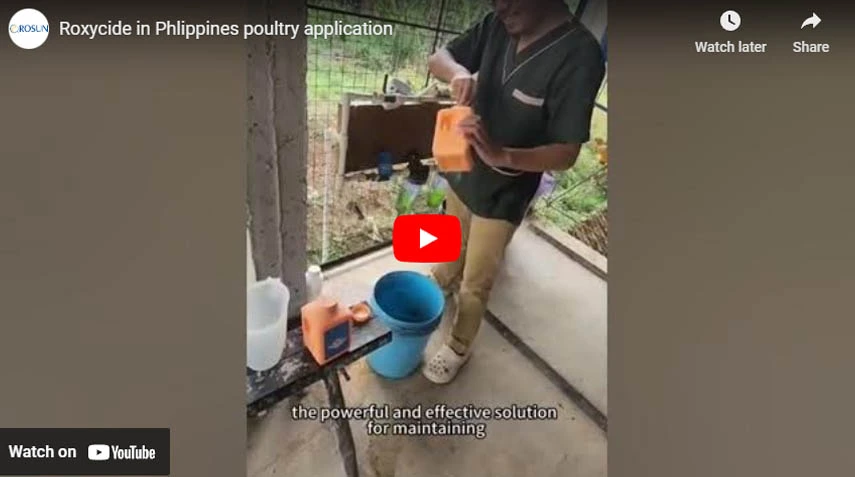 Roxycide in Phlippines poultry application