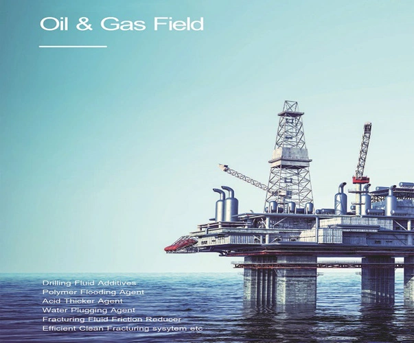 Polyacrylamide (PAM) for Petroleum & Gas