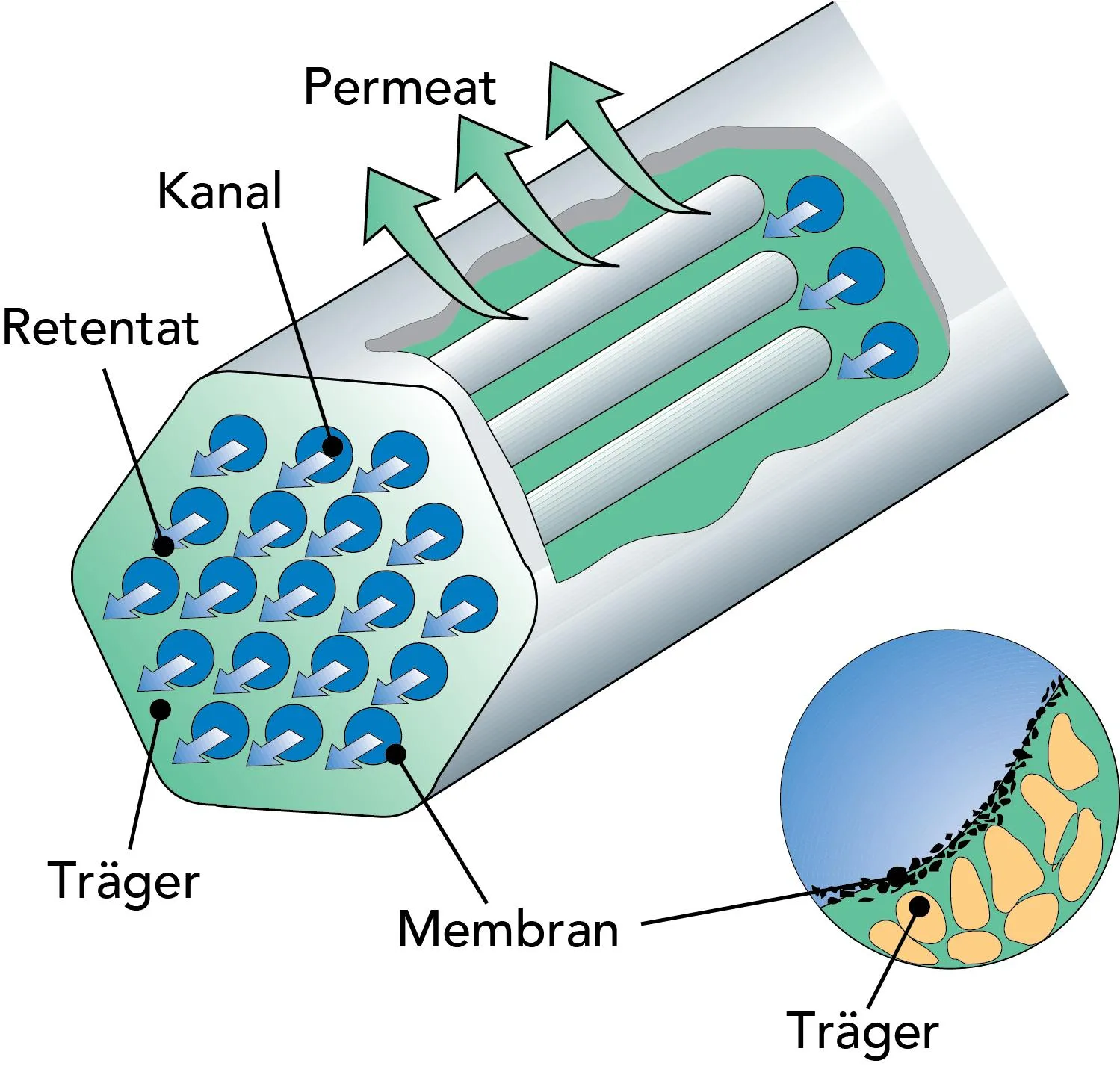 What Drives Filtration Through a Membrane? Key Forces behind Membrane Separation in Water Treatment